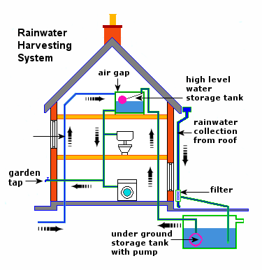 Infographic showing the basic layout on a rainwater harvesting system